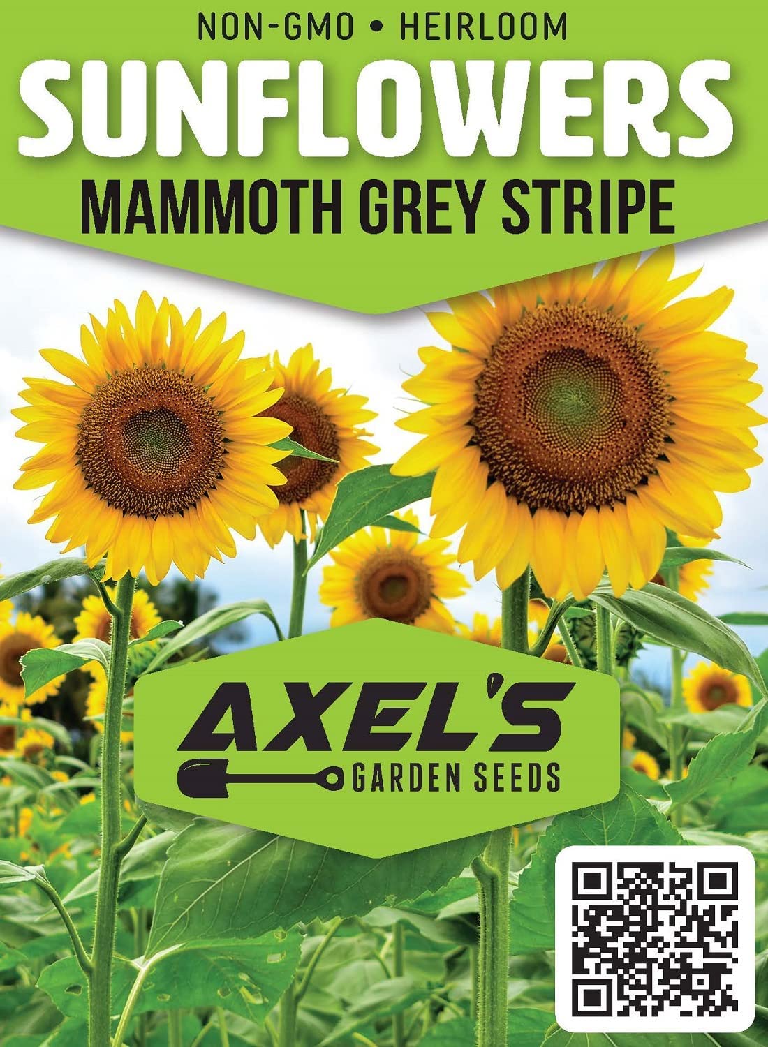 Mammoth Sunflower Seeds for Planting – Grow Giant Sun Flowers in Your Garden – 50 Non GMO Heirloom Seeds – Full Planting Instructions for Easy Grow – Great Gardening Gifts (1 Packet)