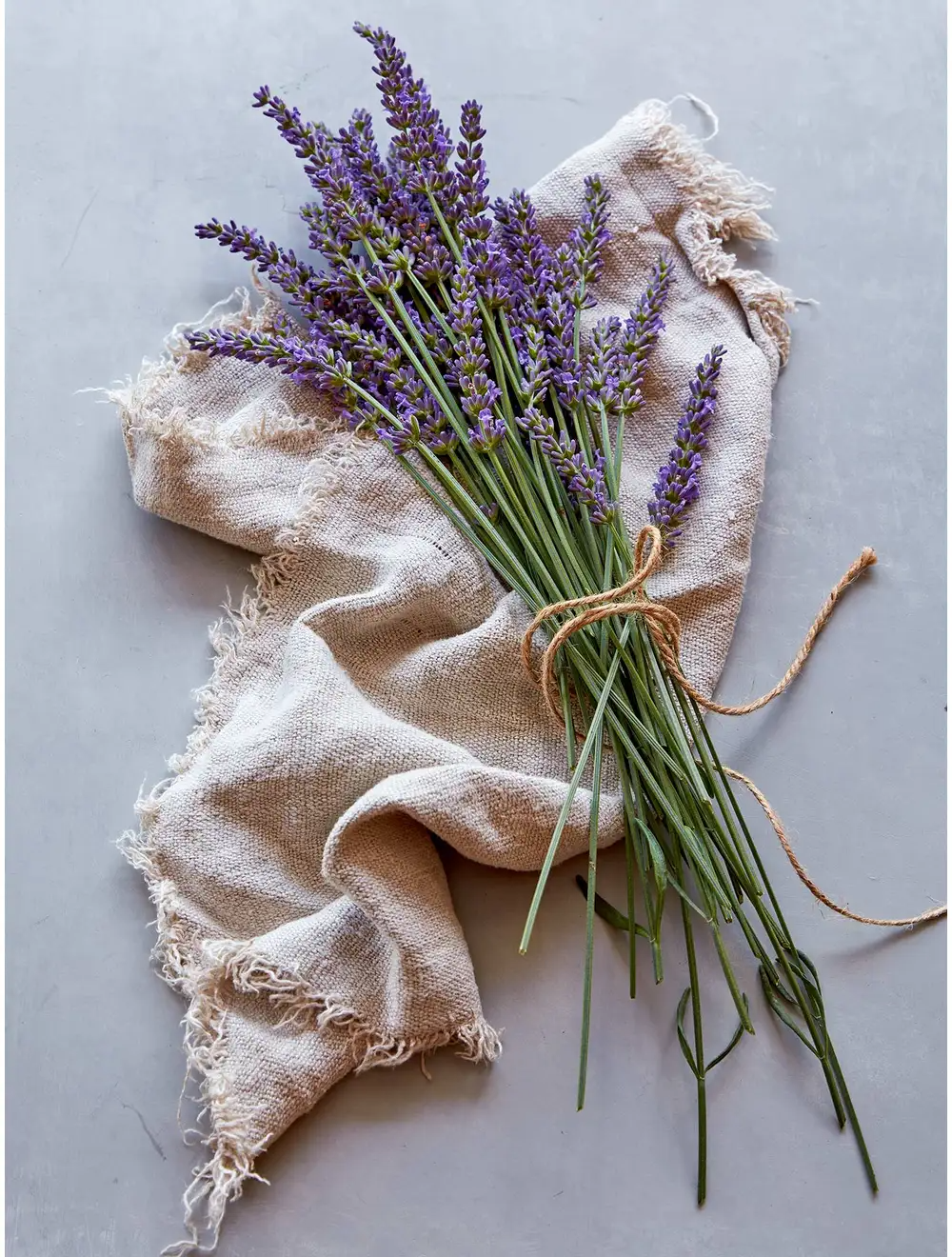 Lavender, Sensational!®